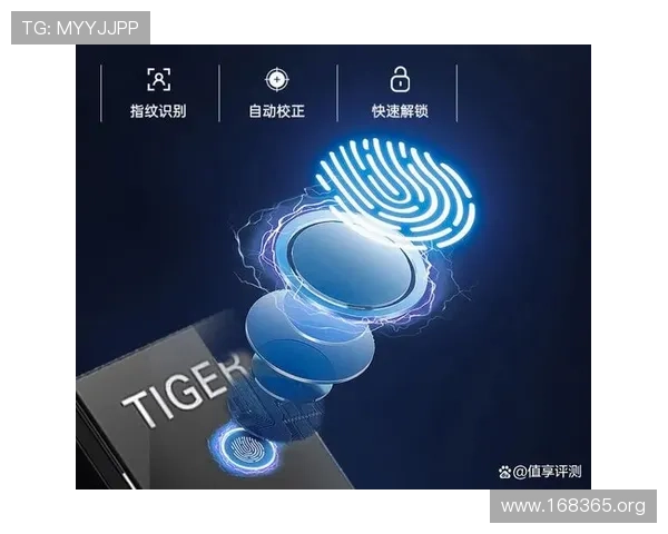 虎牌保险柜:家庭与办公室安全的理想选择